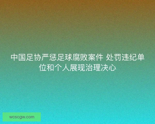 中国足协严惩足球腐败案件 处罚违纪单位和个人展现治理决心
