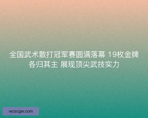 全国武术散打冠军赛圆满落幕 19枚金牌各归其主 展现顶尖武技实力