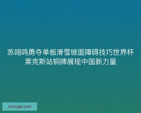 苏翊鸣勇夺单板滑雪坡面障碍技巧世界杯莱克斯站铜牌展现中国新力量