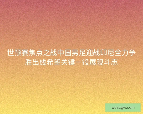 世预赛焦点之战中国男足迎战印尼全力争胜出线希望关键一役展现斗志