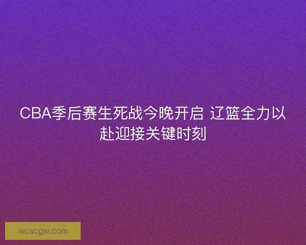 CBA季后赛生死战今晚开启 辽篮全力以赴迎接关键时刻