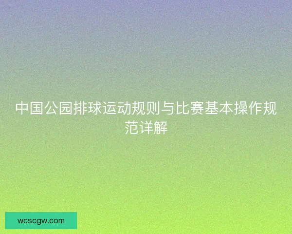 中国公园排球运动规则与比赛基本操作规范详解