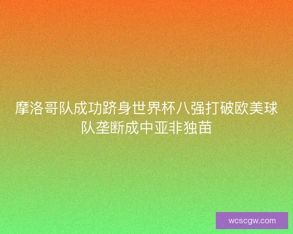 摩洛哥队成功跻身世界杯八强打破欧美球队垄断成中亚非独苗