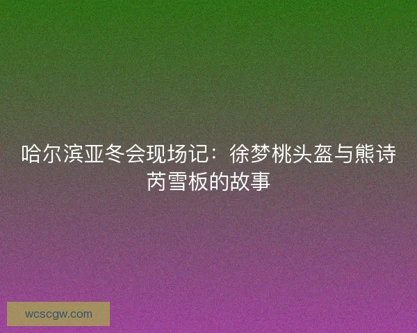 哈尔滨亚冬会现场记：徐梦桃头盔与熊诗芮雪板的故事