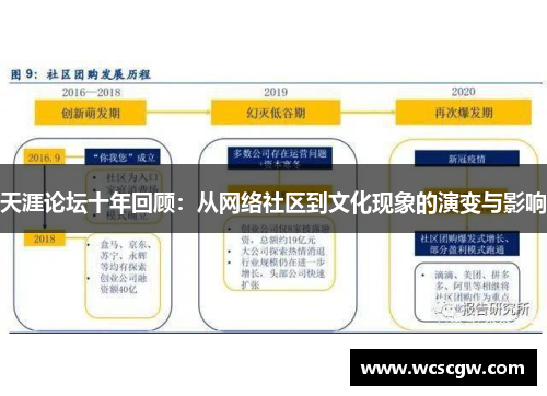 天涯论坛十年回顾：从网络社区到文化现象的演变与影响